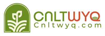 cnltwyq