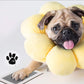 🎁 50 % ALENNUS🐶Lemmikkieläimen tassunjälkien painosetti🐾🐾
