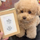 🎁 50 % ALENNUS🐶Lemmikkieläimen tassunjälkien painosetti🐾🐾
