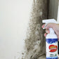 Seinän homeenpoistosuihke – 500 ml