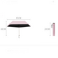 Ultra-Lightweight Compact All-Weather Umbrella